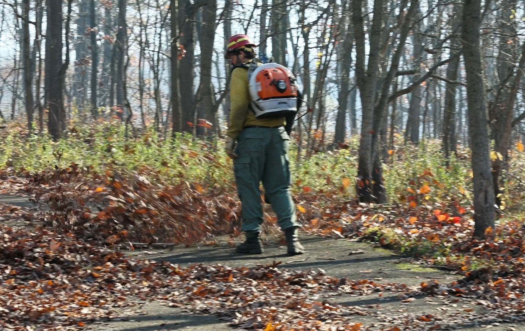 National Park Services Great Lake Fire Management Zone burn
